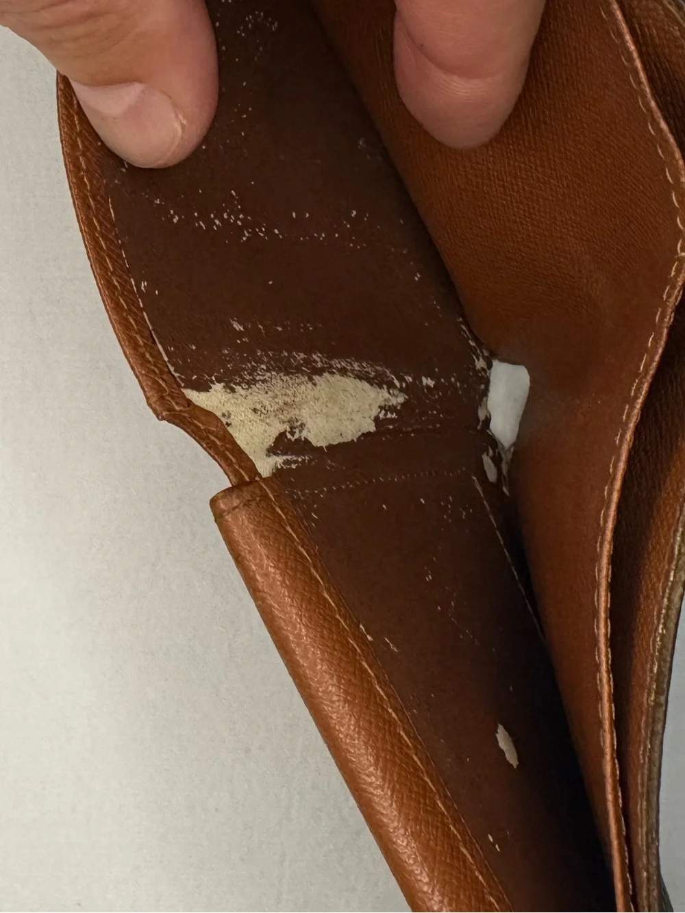 Louis Vuitton classic louis